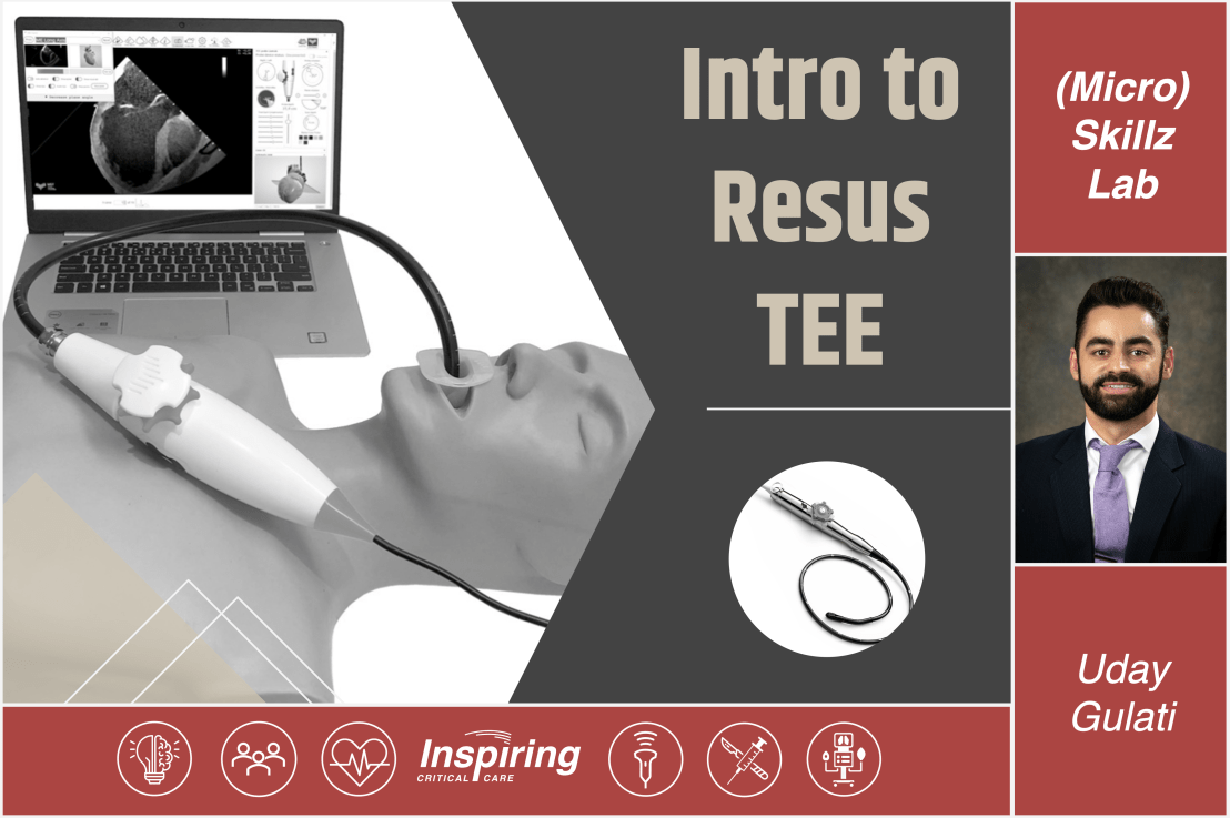Intro to Resus TEE –&nbsp;Gulati